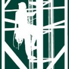 NWSA Logo Unveiling